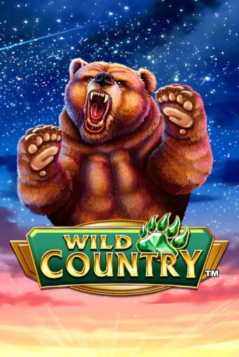 Wild Country - играть онлайн | Вулкан Вегас Беларусь - без регистрации